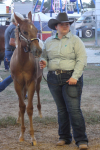 Gallery: Wayne Regional Agricultural Fair 0ct. 6