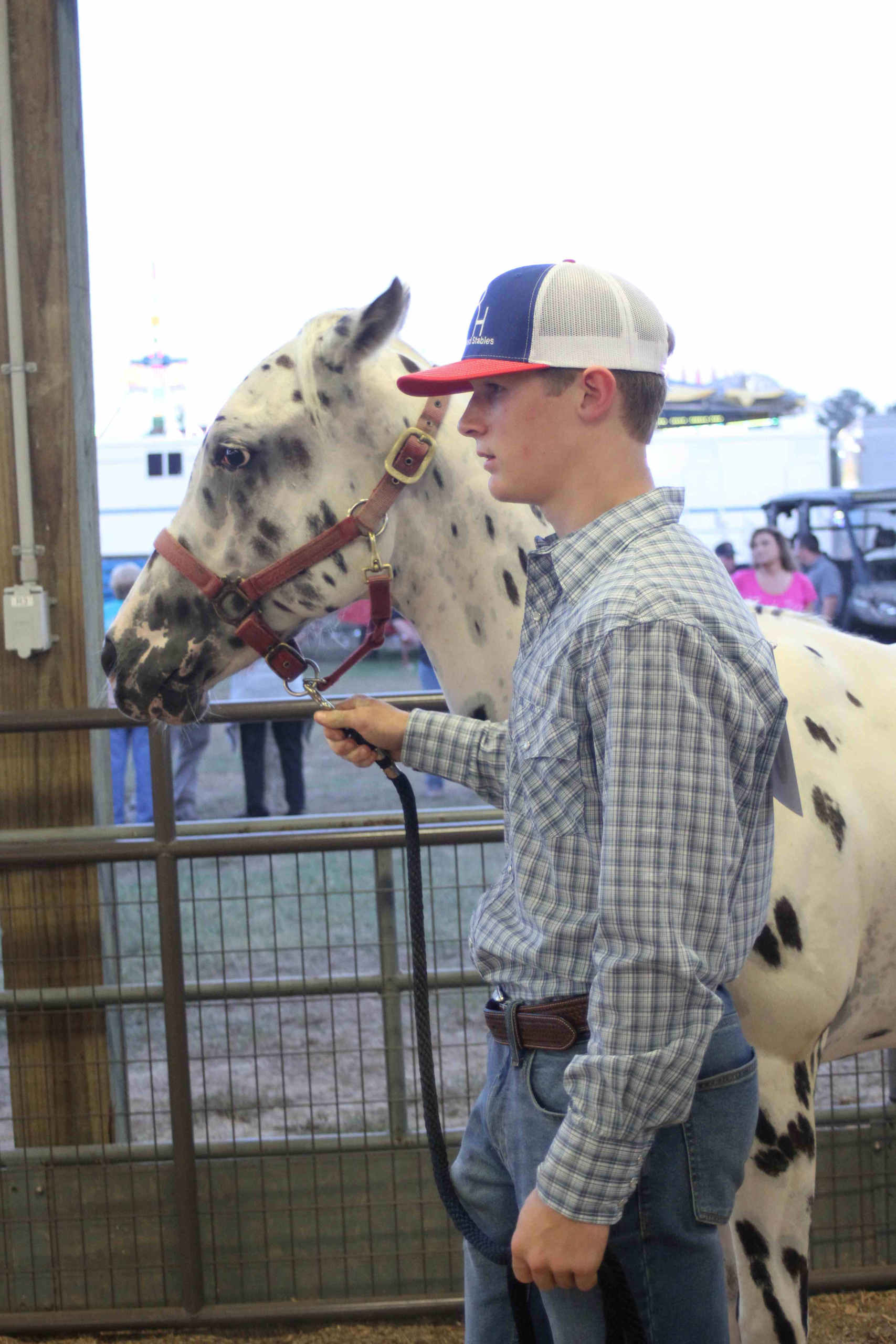 Gallery: Wayne Regional Agricultural Fair 0ct. 6