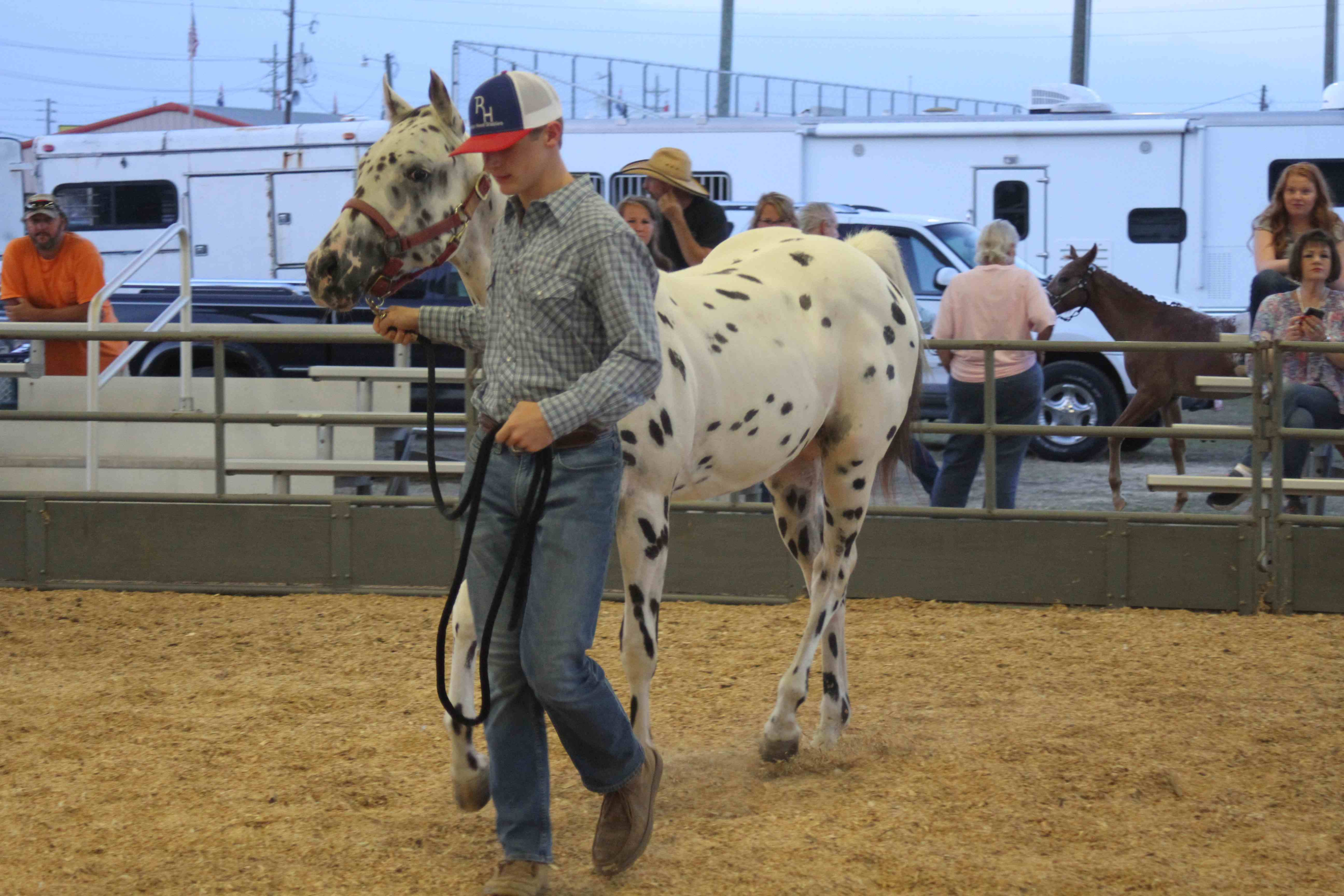 Gallery: Wayne Regional Agricultural Fair 0ct. 6