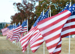 Rotary Club Closes Fourth Annual Field of Honor