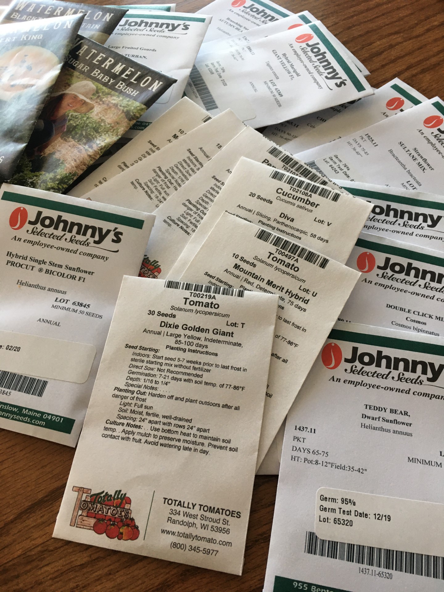 Plan Next Year’s Garden by Ordering Seeds