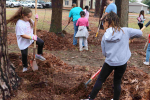 Large Group Turns Out to Clean Up Westbrook Park