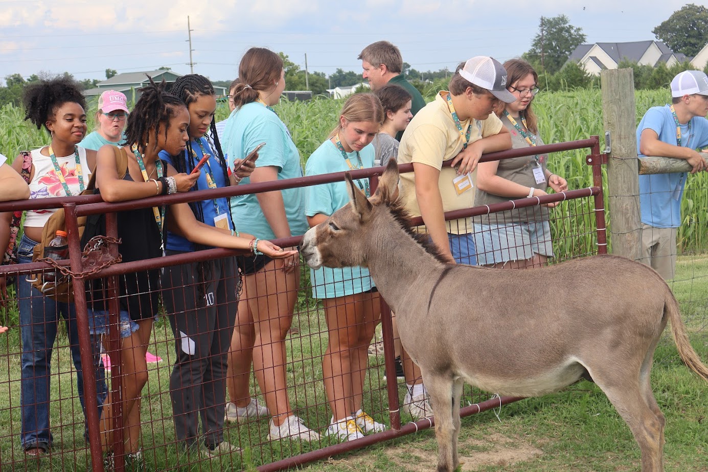 Camp Provides Behind-the-Scenes Look at Agriculture