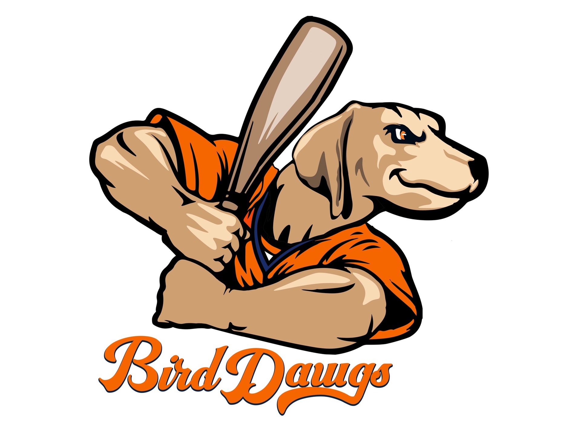 Professional Baseball Returning to Kinston With Bird Dawgs