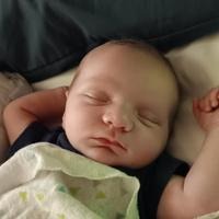 Jordyn Avery Bridgers