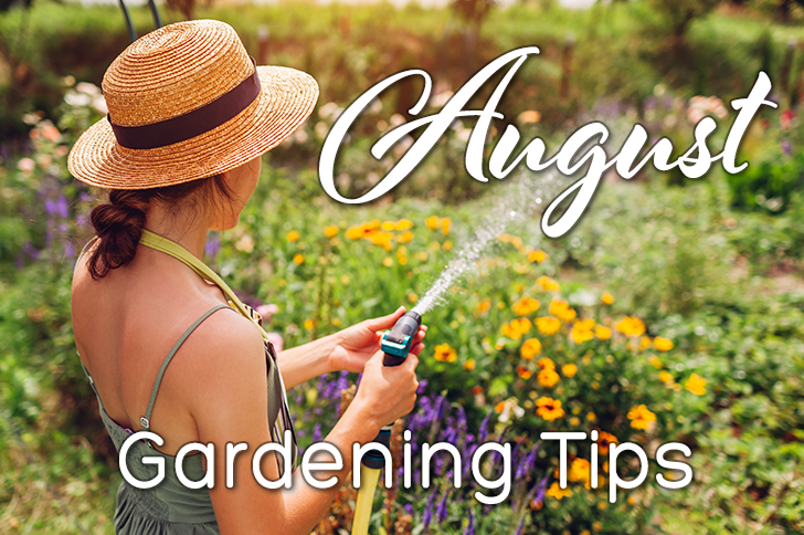 August Gardening Tips
