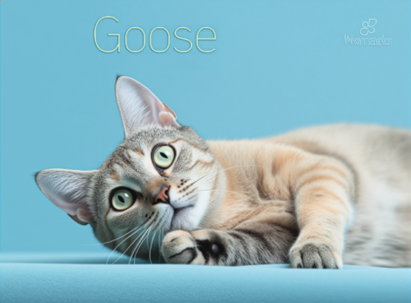 PET OF THE WEEK: Goose Powered by Jackson & Sons