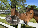 CORRAL Riding Academy Launches Monthly Service Saturdays to Support At-Risk Youth Program