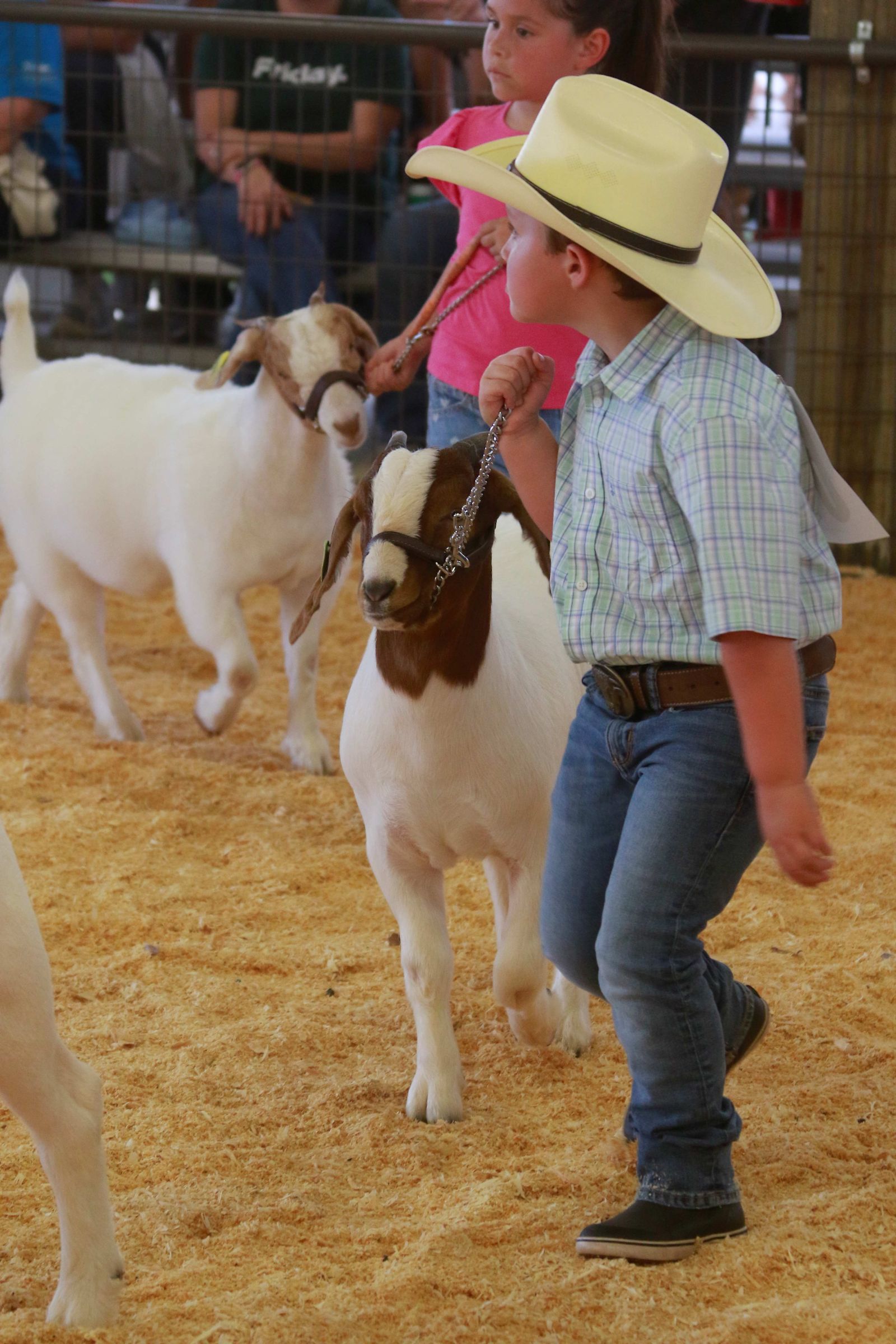 Wayne Regional Agriculture Fair Wayne Regional Agriculture Fair