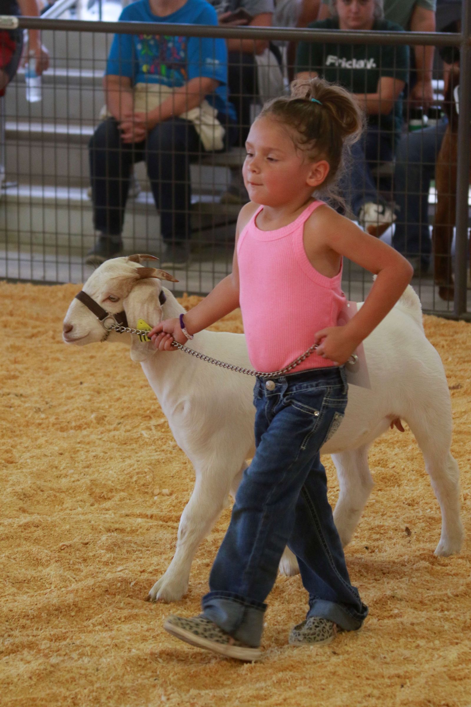 Wayne Regional Agriculture Fair Wayne Regional Agriculture Fair