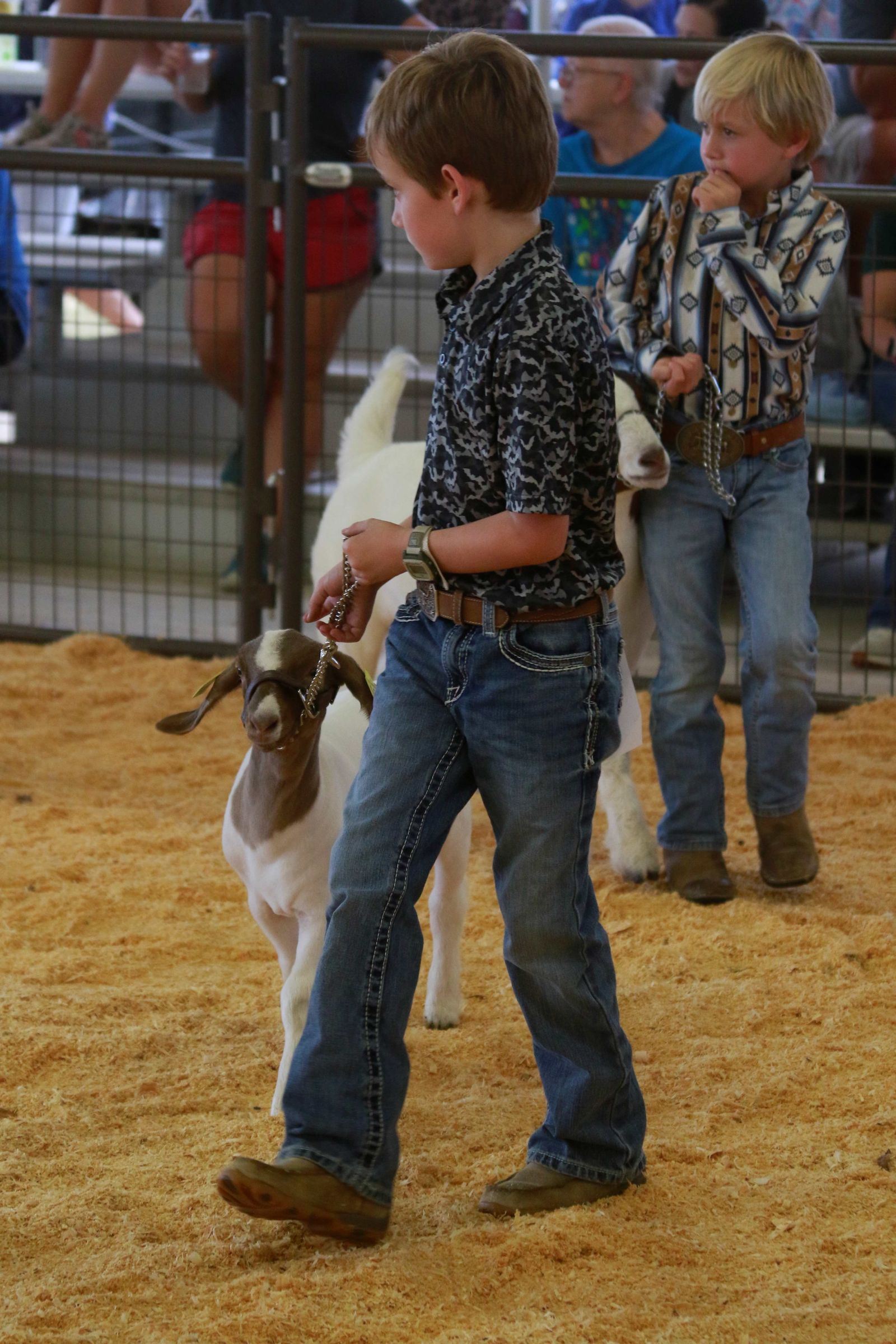 Wayne Regional Agriculture Fair Wayne Regional Agriculture Fair