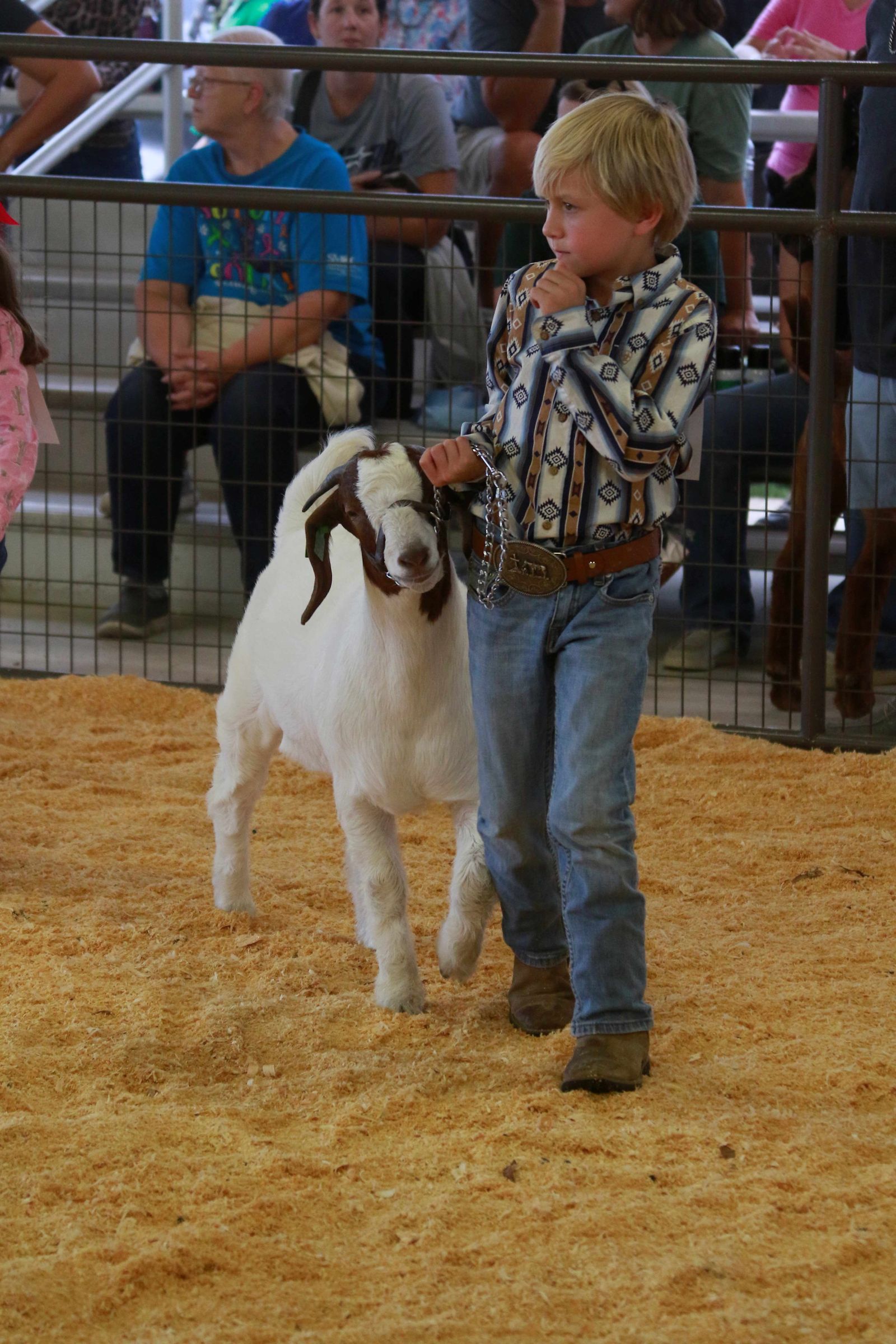 Wayne Regional Agriculture Fair Wayne Regional Agriculture Fair