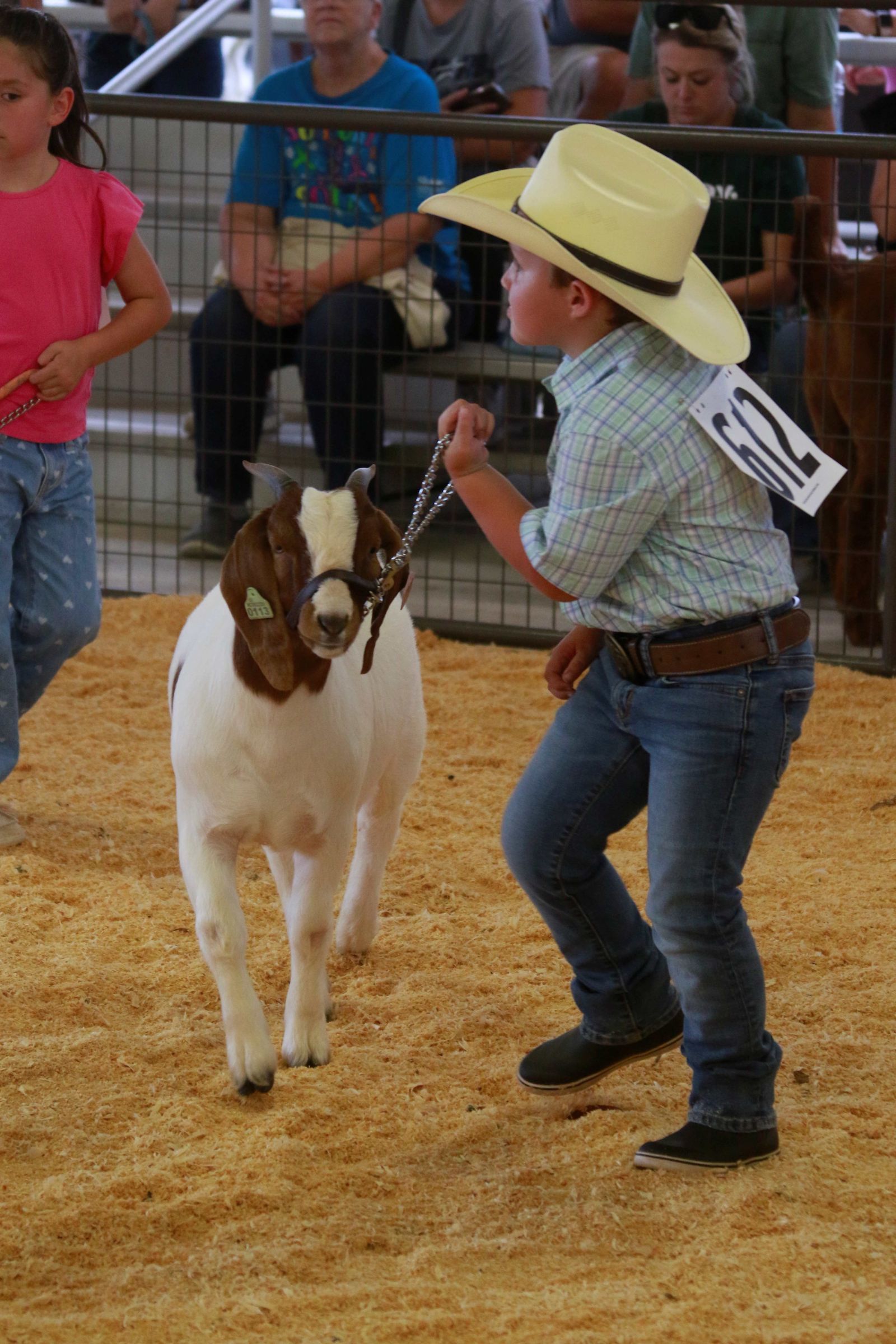 Wayne Regional Agriculture Fair Wayne Regional Agriculture Fair