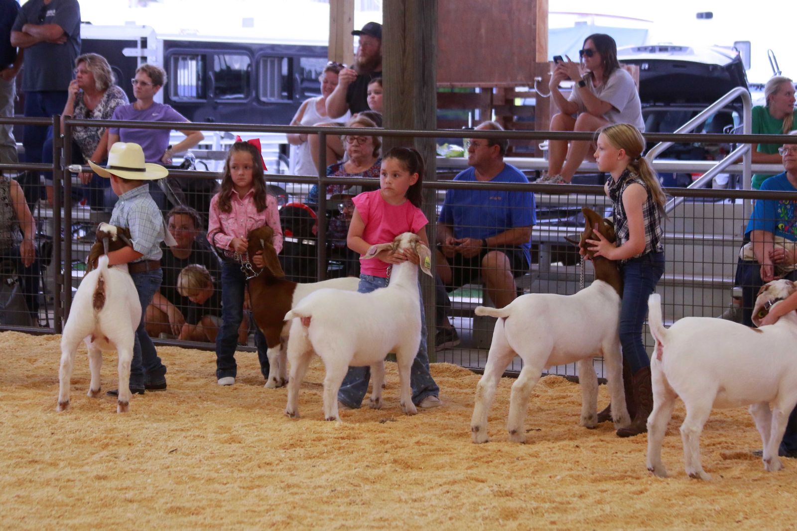 Wayne Regional Agriculture Fair Wayne Regional Agriculture Fair