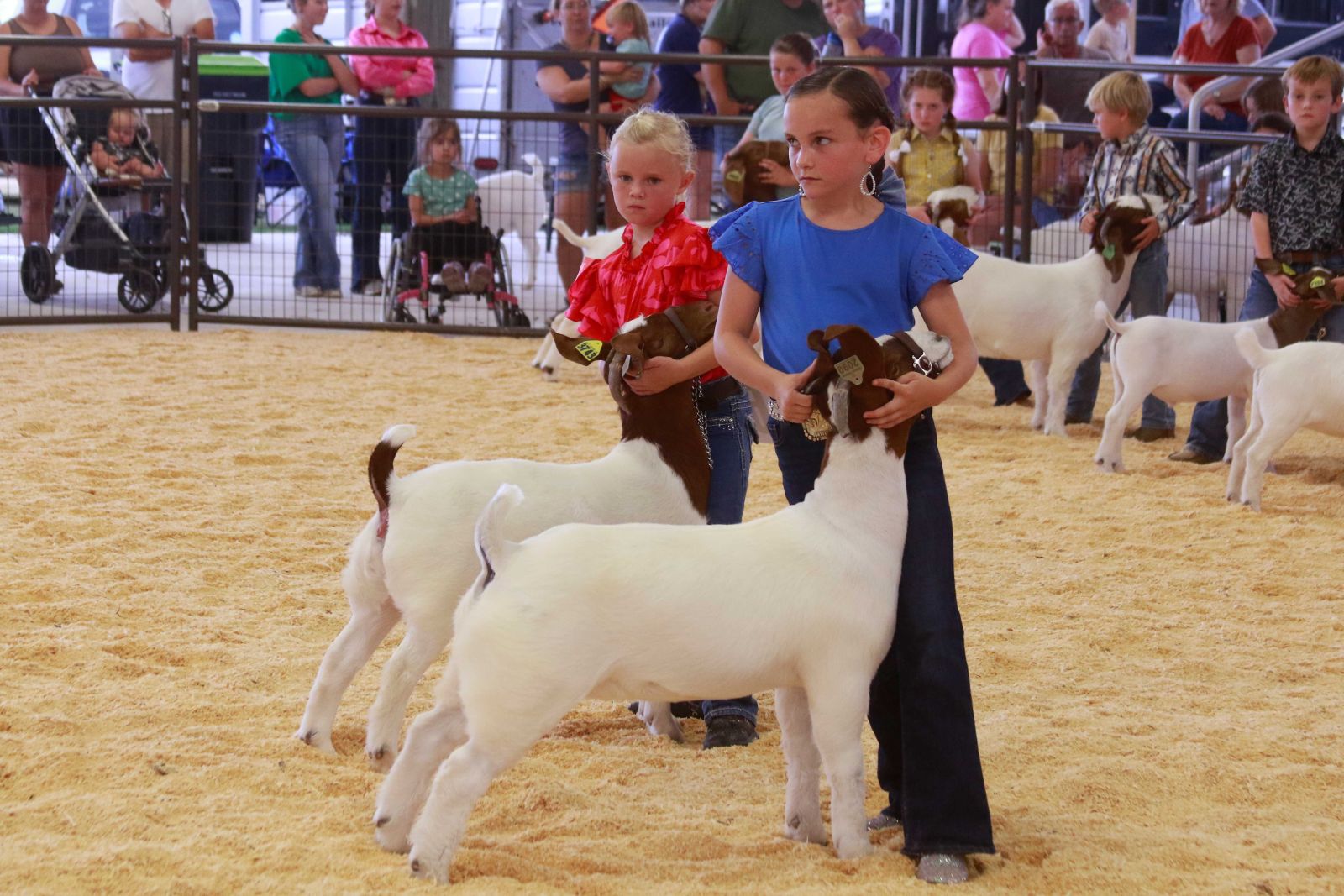 Wayne Regional Agriculture Fair Wayne Regional Agriculture Fair