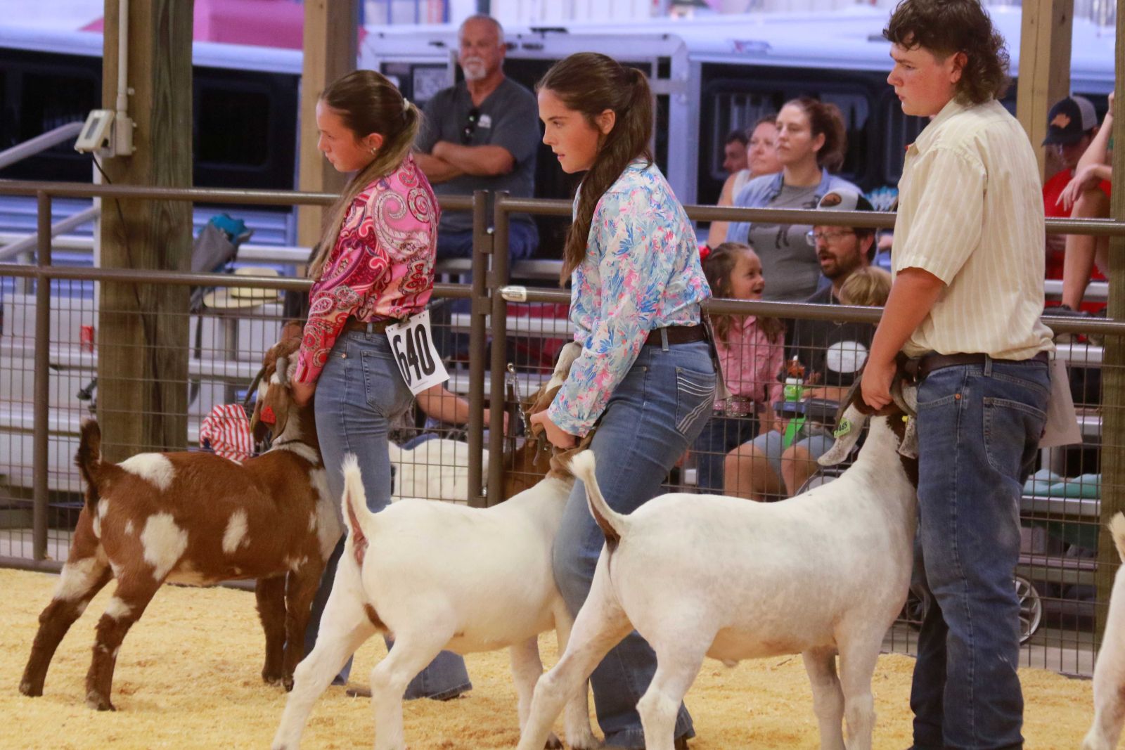 Wayne Regional Agriculture Fair Wayne Regional Agriculture Fair