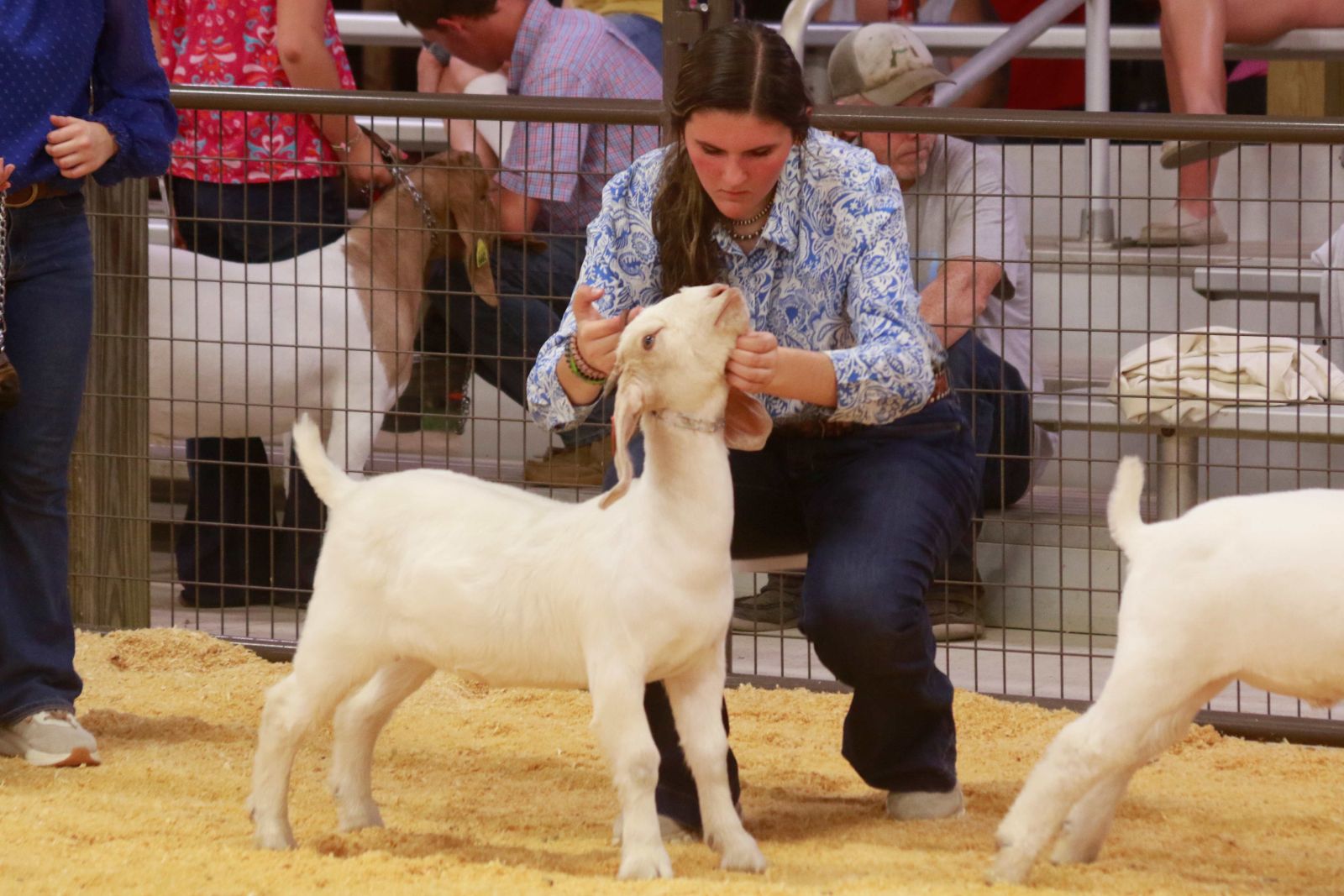 Wayne Regional Agriculture Fair Wayne Regional Agriculture Fair