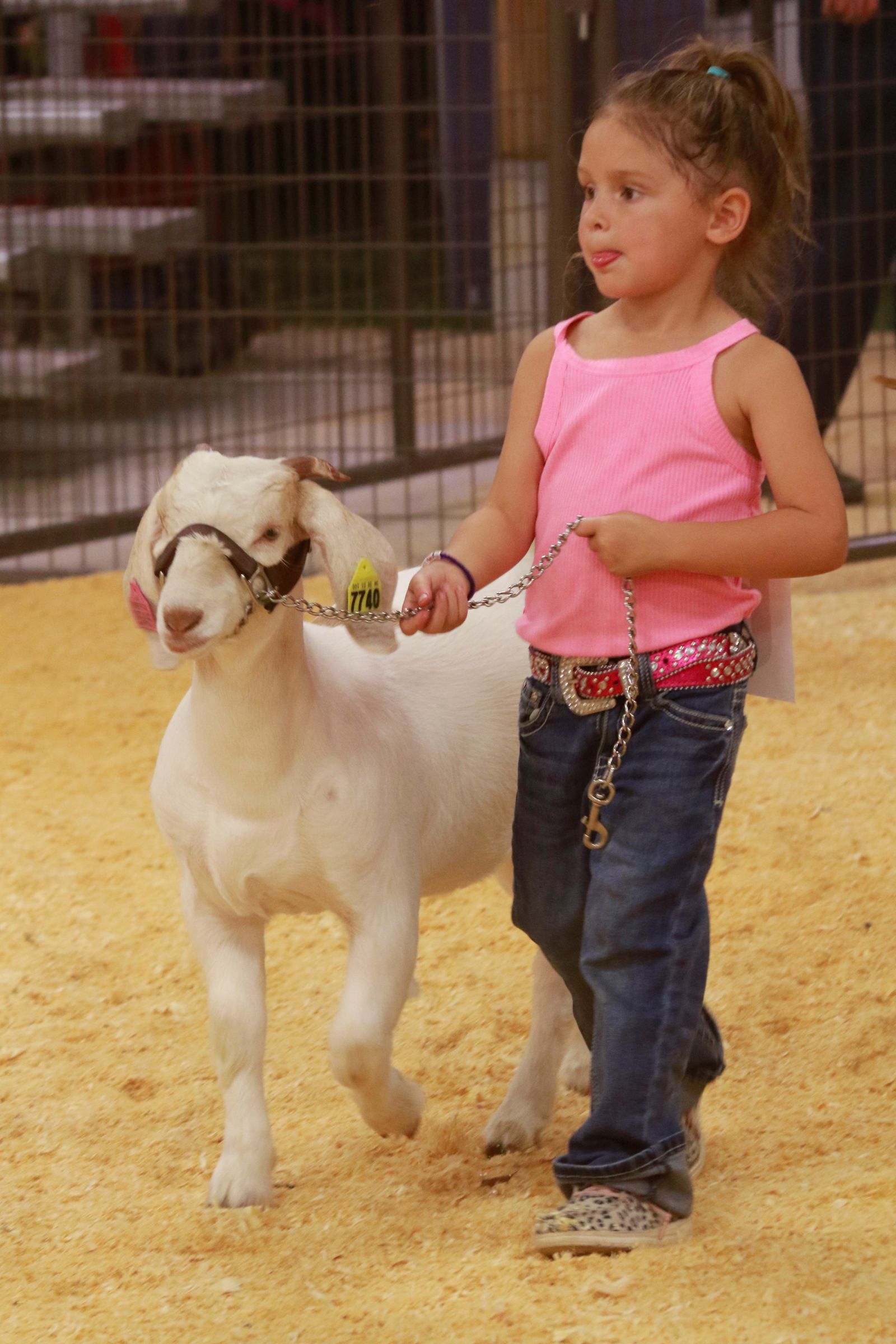 Wayne Regional Agriculture Fair Wayne Regional Agriculture Fair