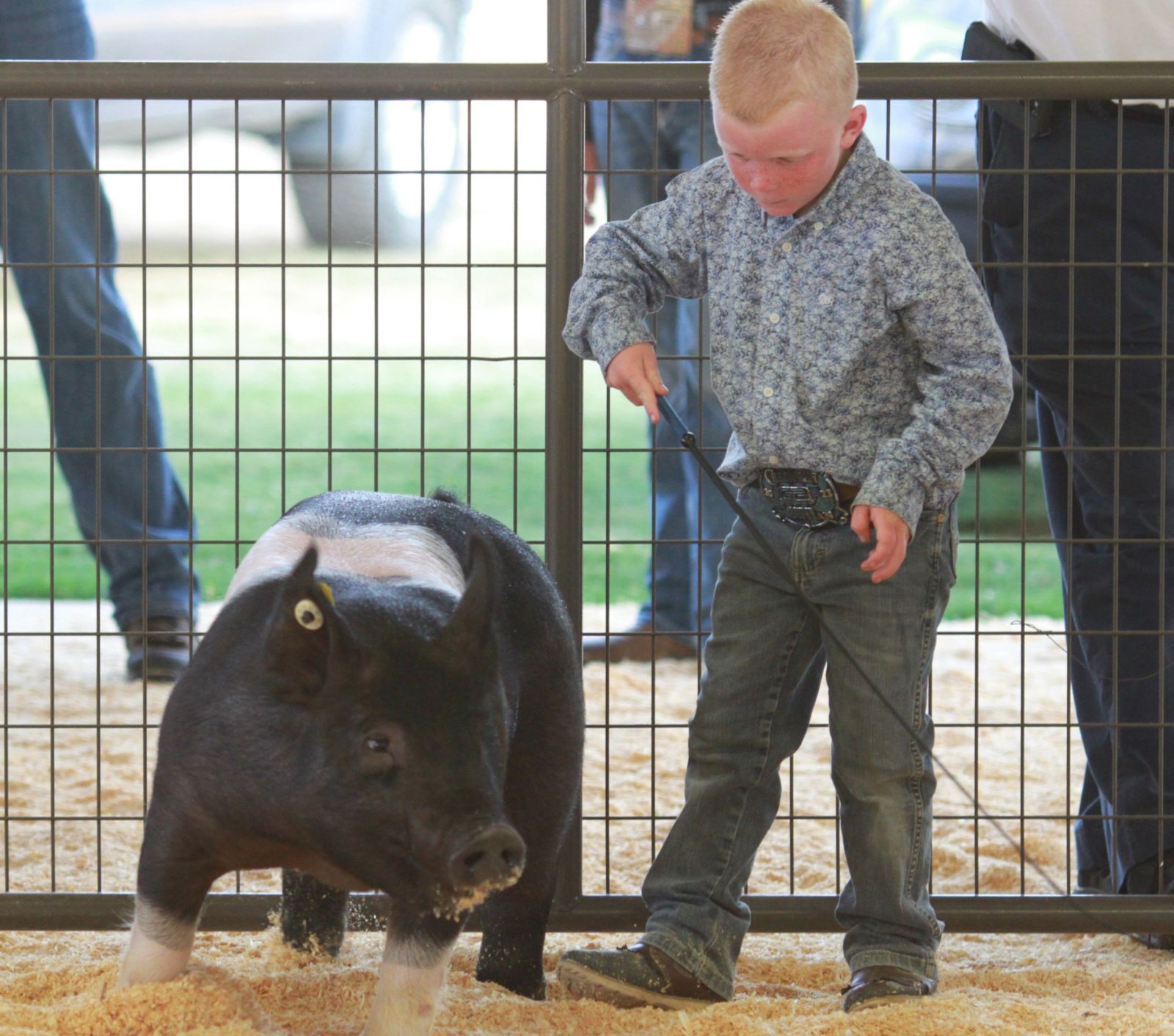 Wayne Regional Agriculture Fair Wayne Regional Agriculture Fair