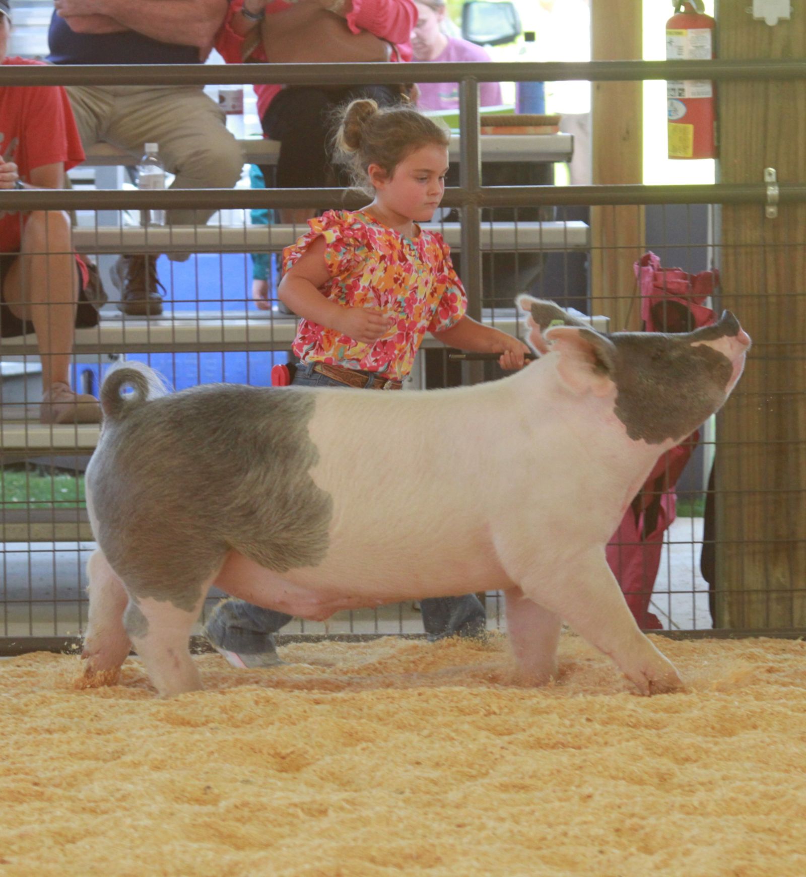 Wayne Regional Agriculture Fair Wayne Regional Agriculture Fair