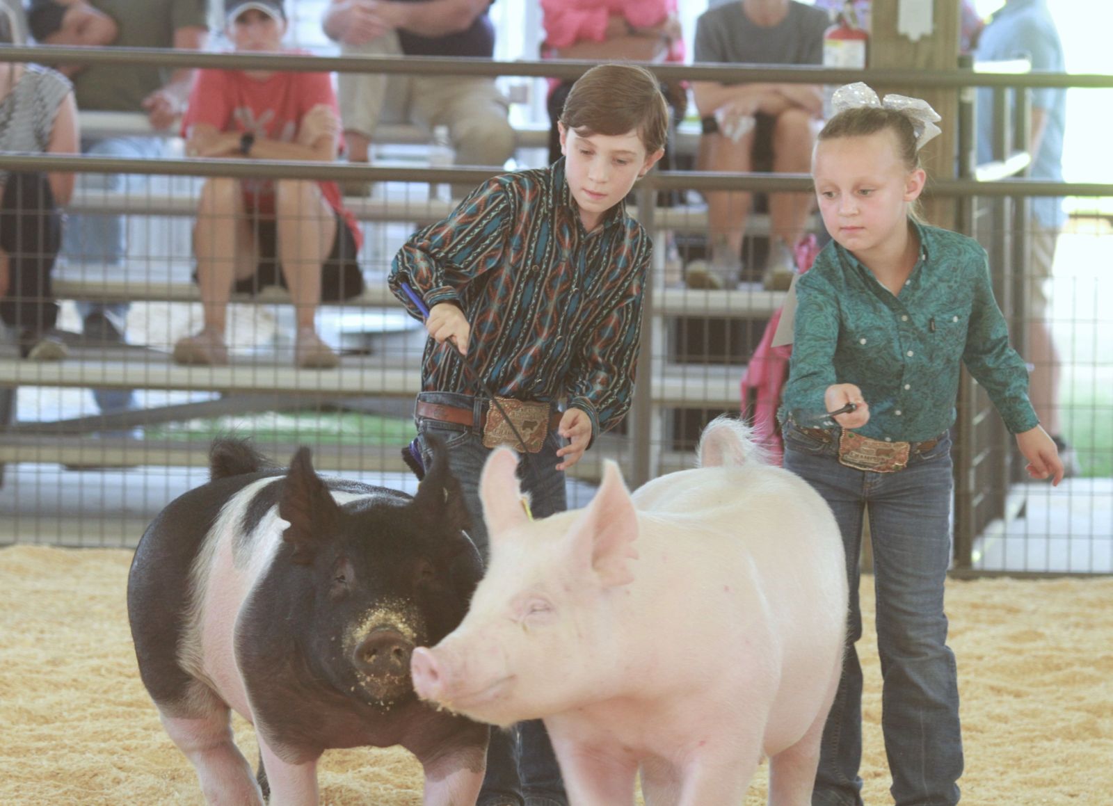 Wayne Regional Agriculture Fair Wayne Regional Agriculture Fair