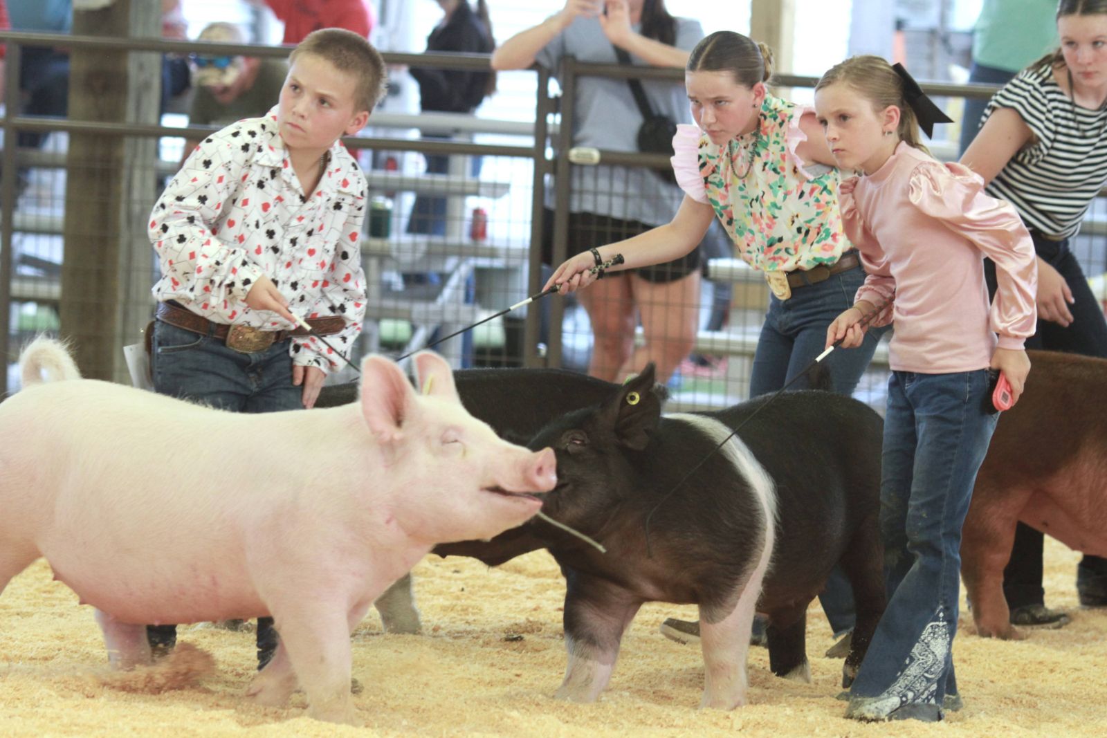 Wayne Regional Agriculture Fair Wayne Regional Agriculture Fair