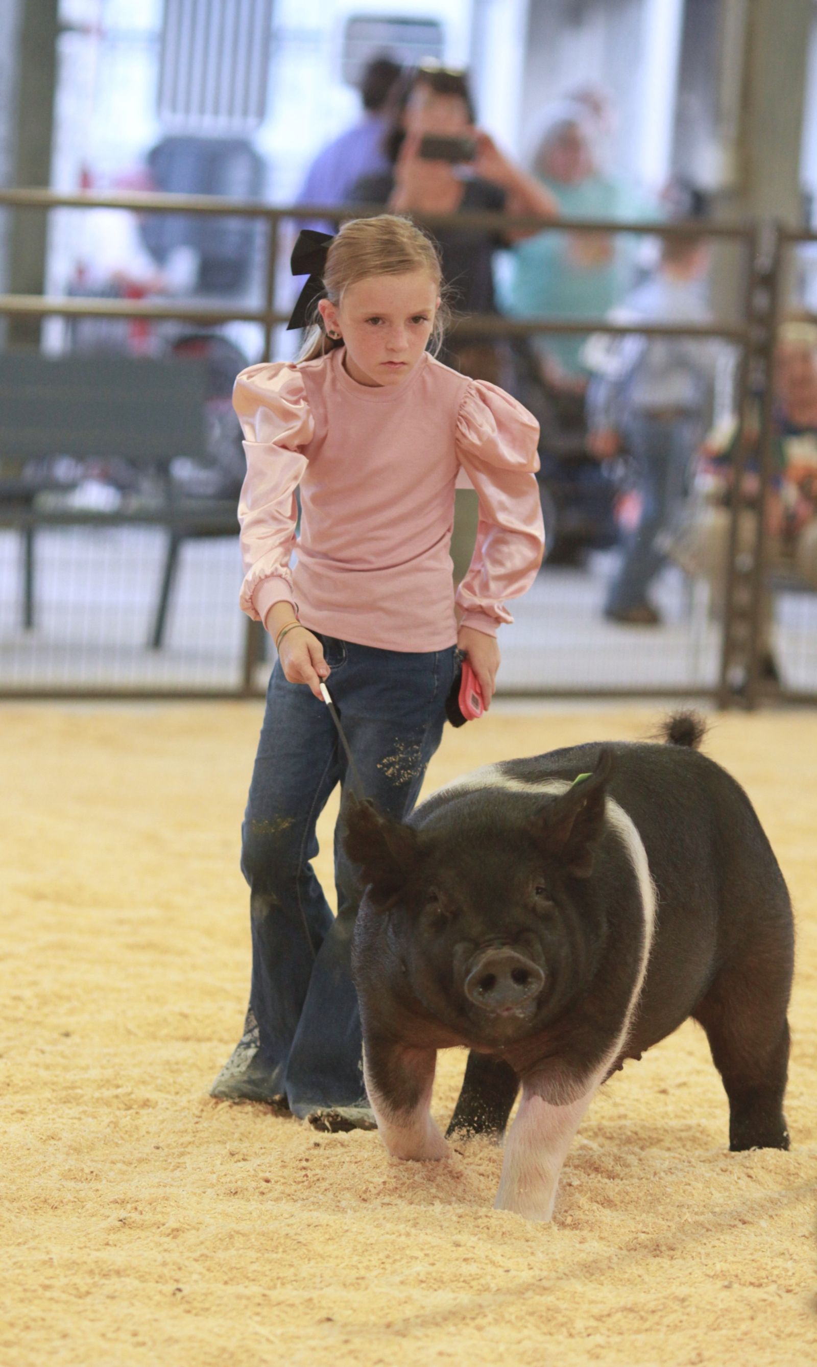Wayne Regional Agriculture Fair Wayne Regional Agriculture Fair