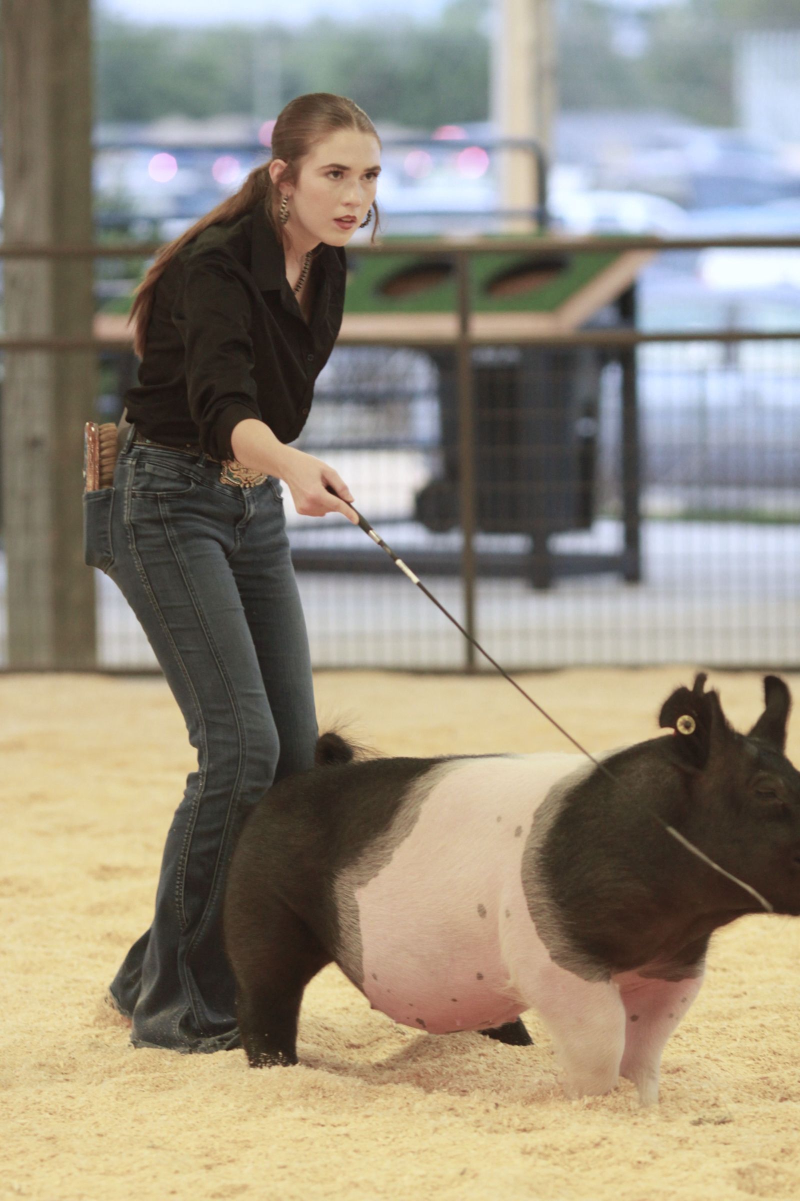 Wayne Regional Agriculture Fair Wayne Regional Agriculture Fair