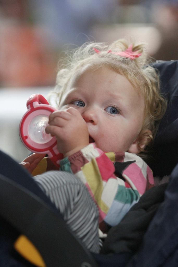 Wayne Regional Agricultural Fair Day 7 & 8