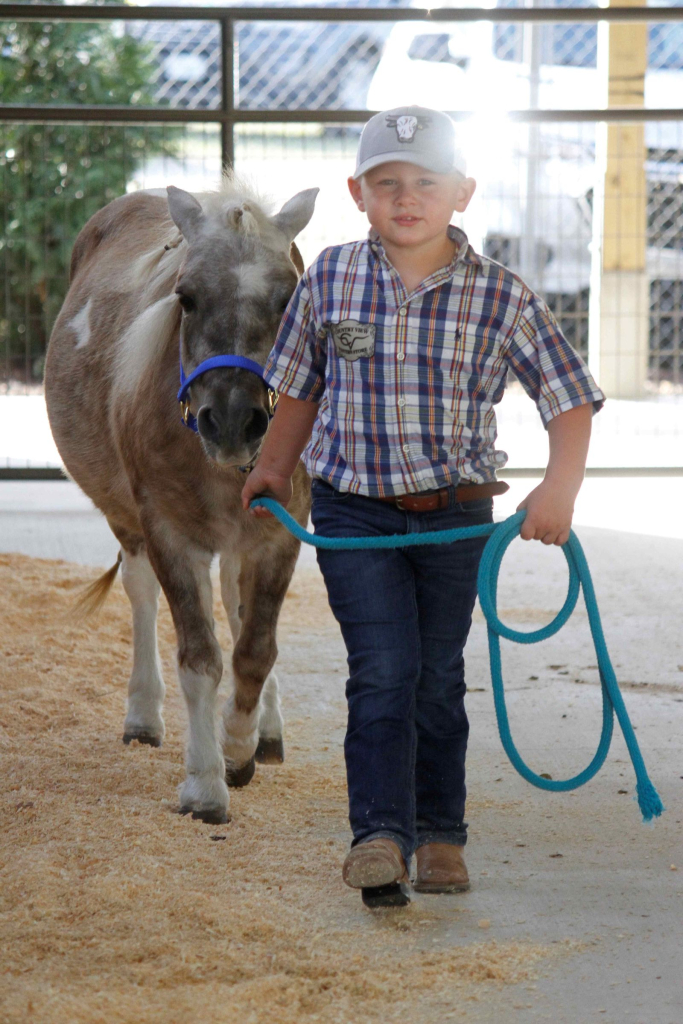 Wayne Regional Agricultural Fair Day 7 & 8 Wayne Regional Agricultural Fair Day 7 & 8