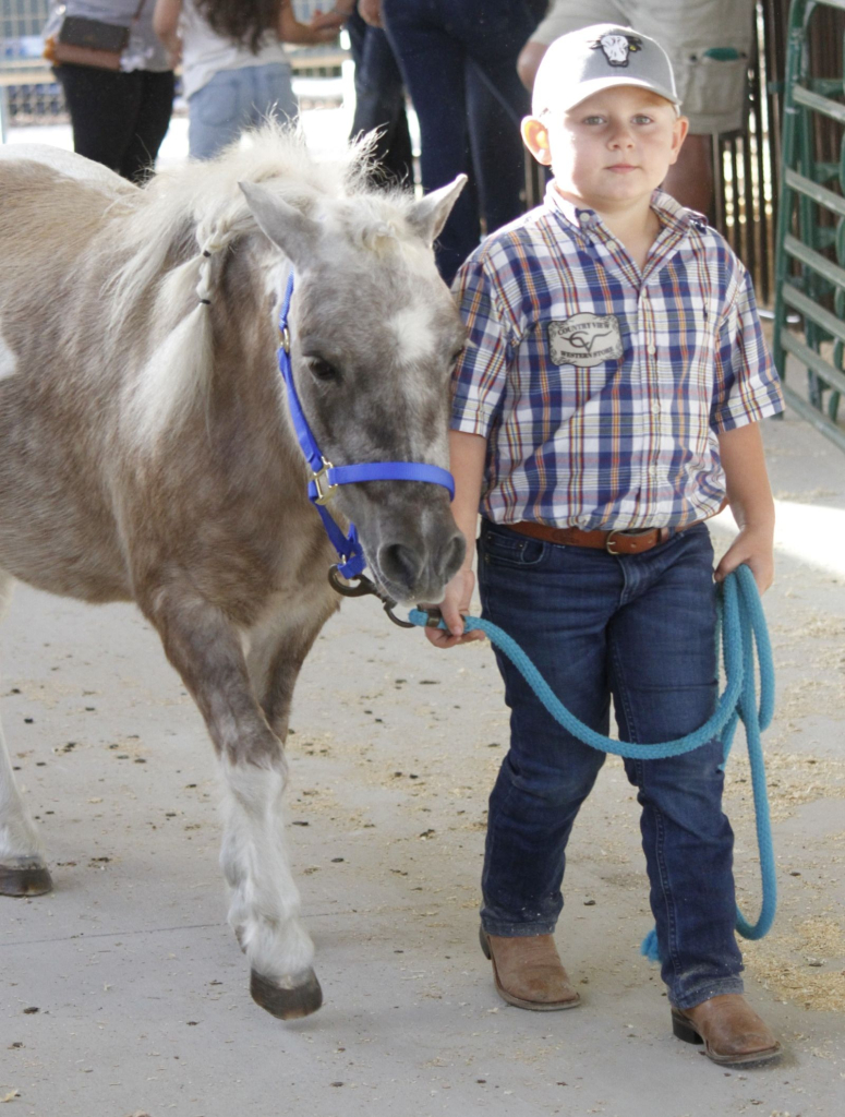 Wayne Regional Agricultural Fair Day 7 & 8 Wayne Regional Agricultural Fair Day 7 & 8