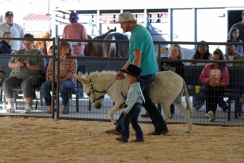 Wayne Regional Agricultural Fair Day 7 & 8 Wayne Regional Agricultural Fair Day 7 & 8