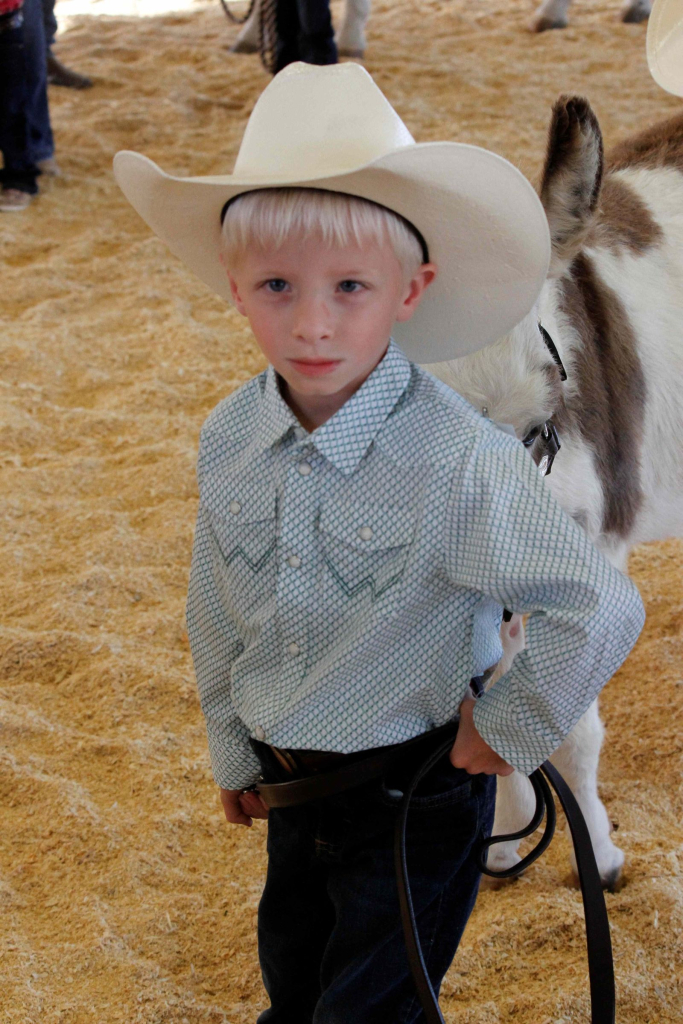 Wayne Regional Agricultural Fair Day 7 & 8 Wayne Regional Agricultural Fair Day 7 & 8