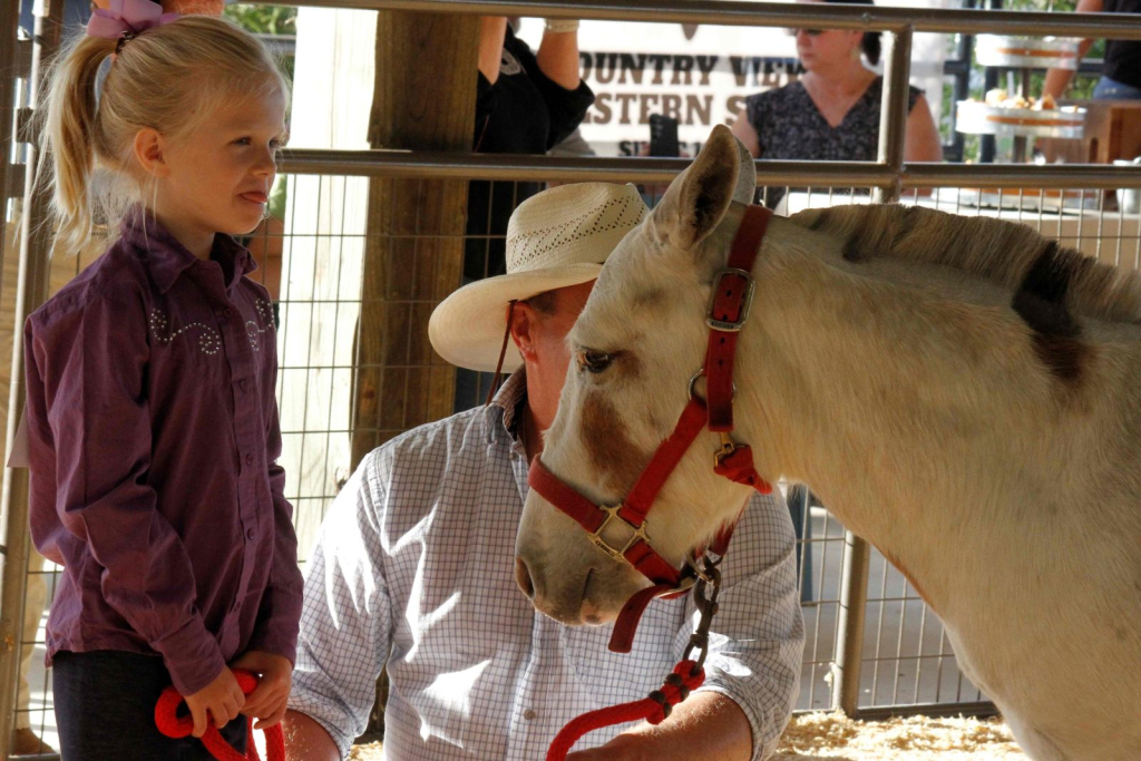 Wayne Regional Agricultural Fair Day 7 & 8