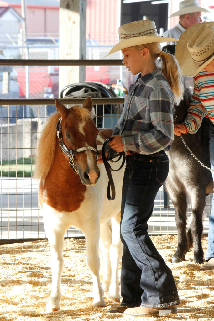 Wayne Regional Agricultural Fair Day 7 & 8
