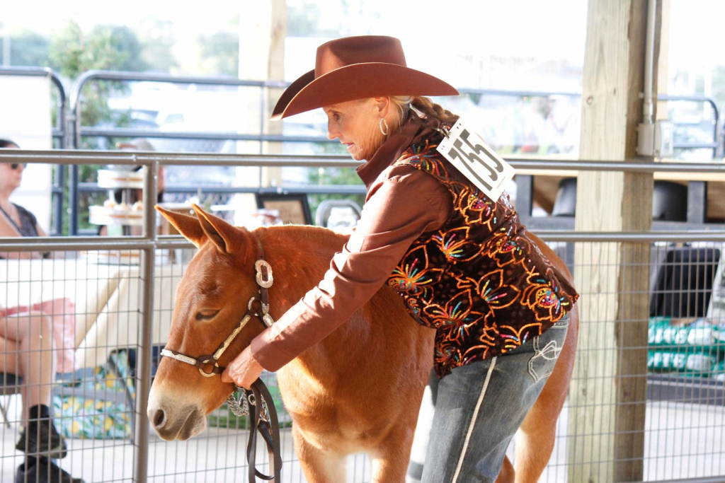Wayne Regional Agricultural Fair Day 7 & 8