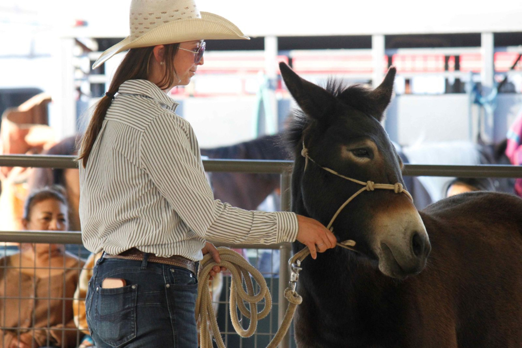 Wayne Regional Agricultural Fair Day 7 & 8