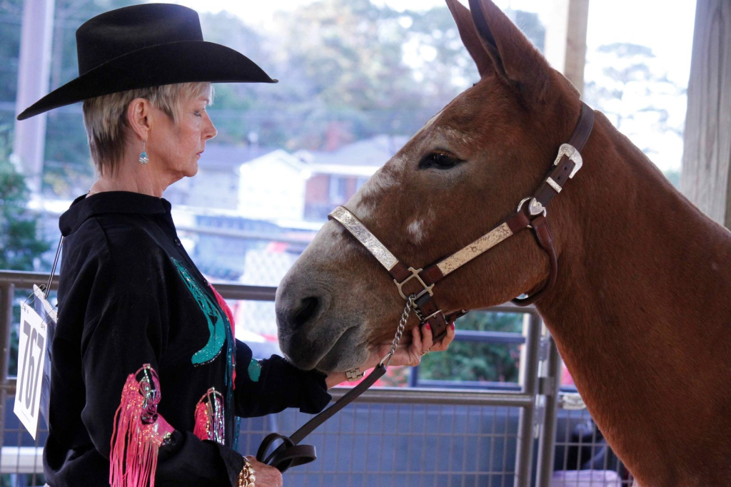 Wayne Regional Agricultural Fair Day 7 & 8 Wayne Regional Agricultural Fair Day 7 & 8