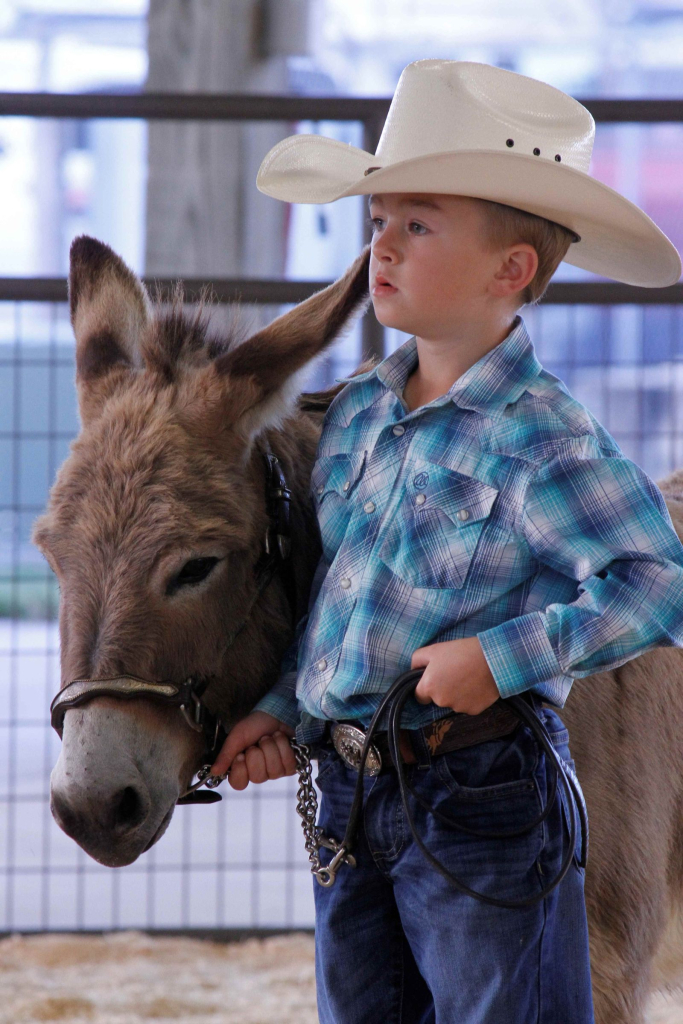 Wayne Regional Agricultural Fair Day 7 & 8 Wayne Regional Agricultural Fair Day 7 & 8