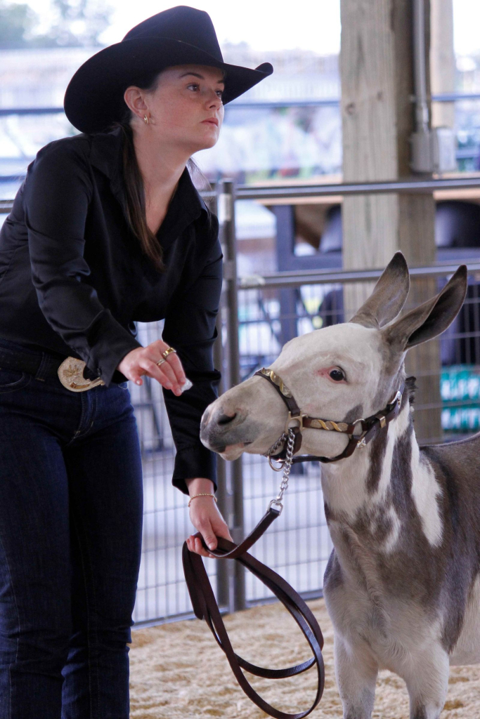 Wayne Regional Agricultural Fair Day 7 & 8 Wayne Regional Agricultural Fair Day 7 & 8