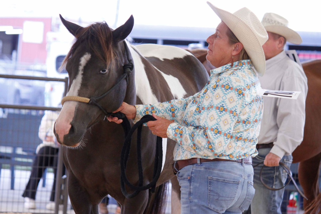 Wayne Regional Agricultural Fair Day 7 & 8 Wayne Regional Agricultural Fair Day 7 & 8