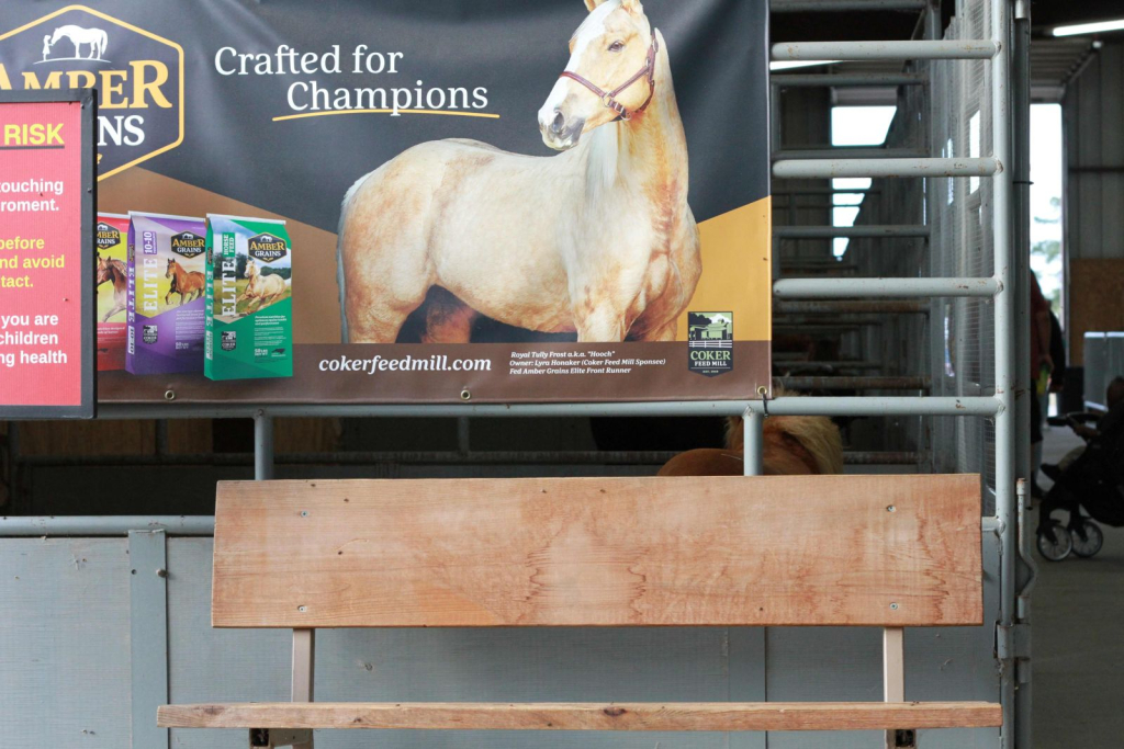 Wayne Regional Fair Day 9 and 10 Wayne Regional Fair Day 9 and 10