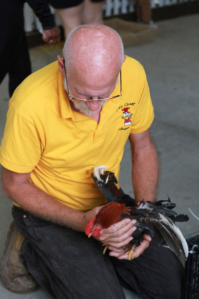 Wayne Regional Fair Day 9 and 10 Wayne Regional Fair Day 9 and 10