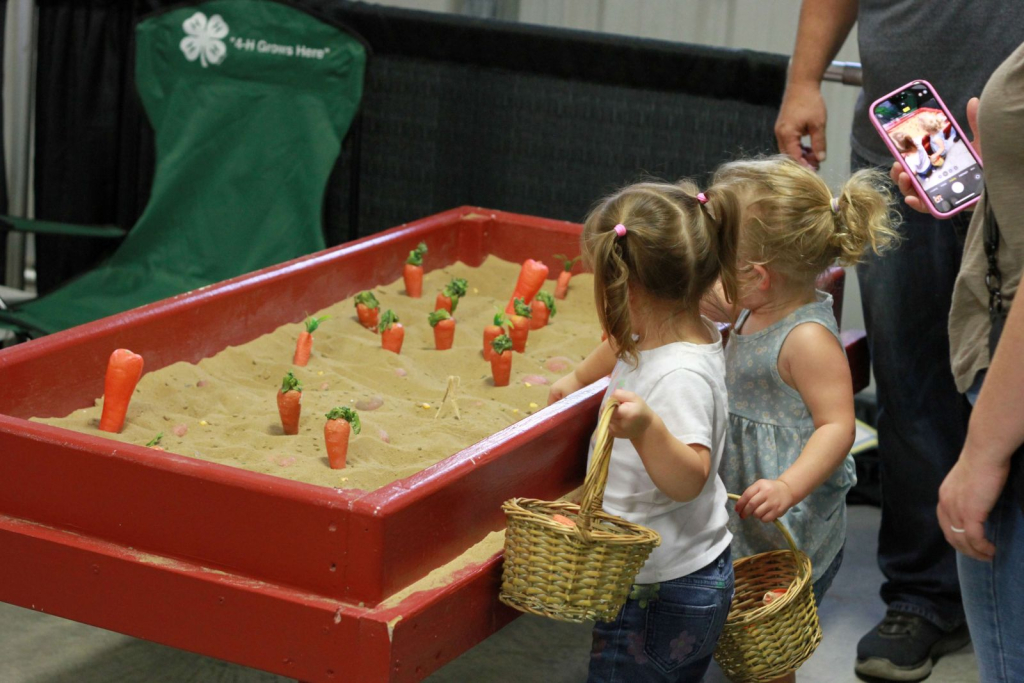Wayne Regional Fair Day 9 and 10 Wayne Regional Fair Day 9 and 10