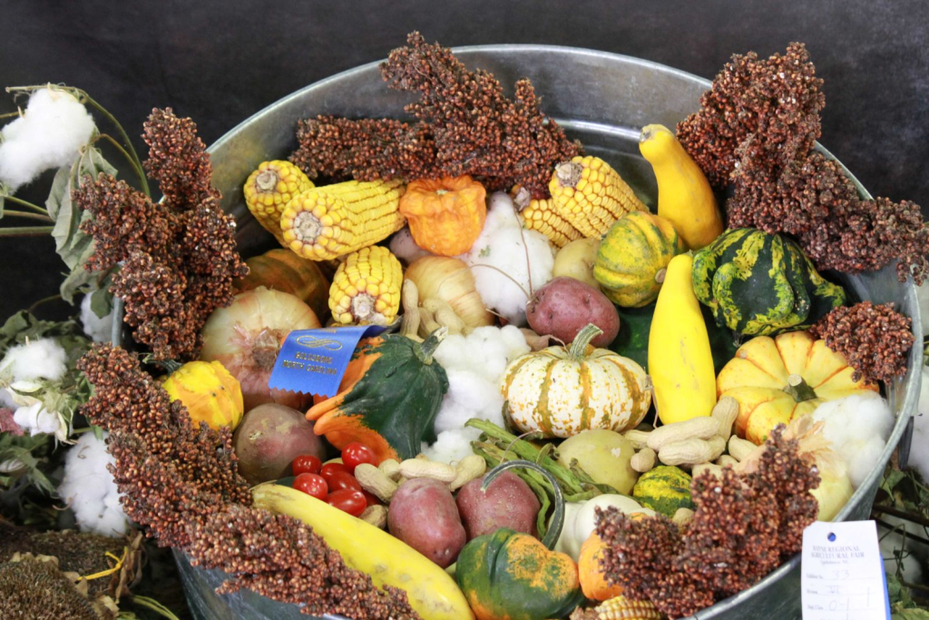 Wayne Regional Fair Day 9 and 10 Wayne Regional Fair Day 9 and 10