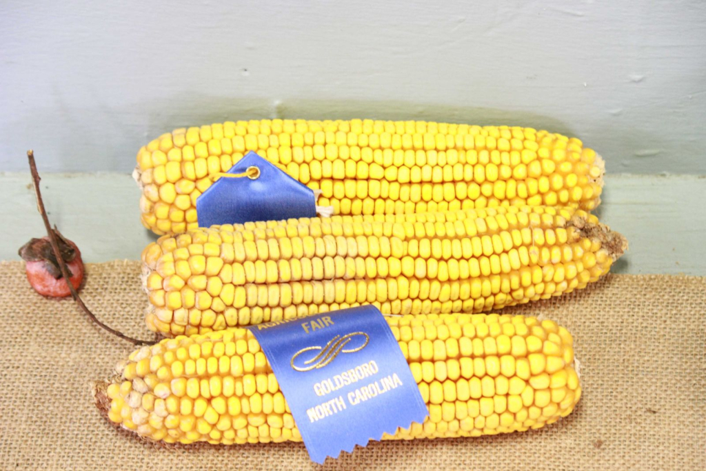 Wayne Regional Fair Day 9 and 10 Wayne Regional Fair Day 9 and 10