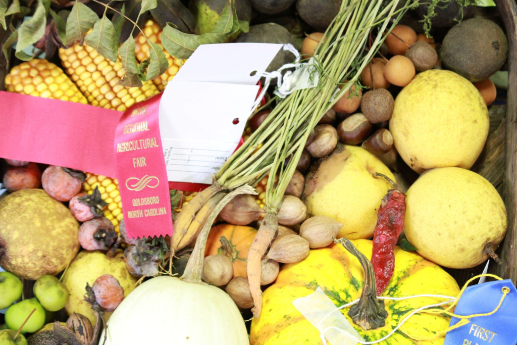 Wayne Regional Fair Day 9 and 10 Wayne Regional Fair Day 9 and 10