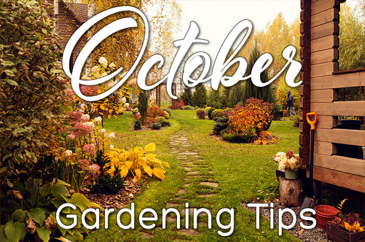 October Gardening Tips for Eastern North Carolina