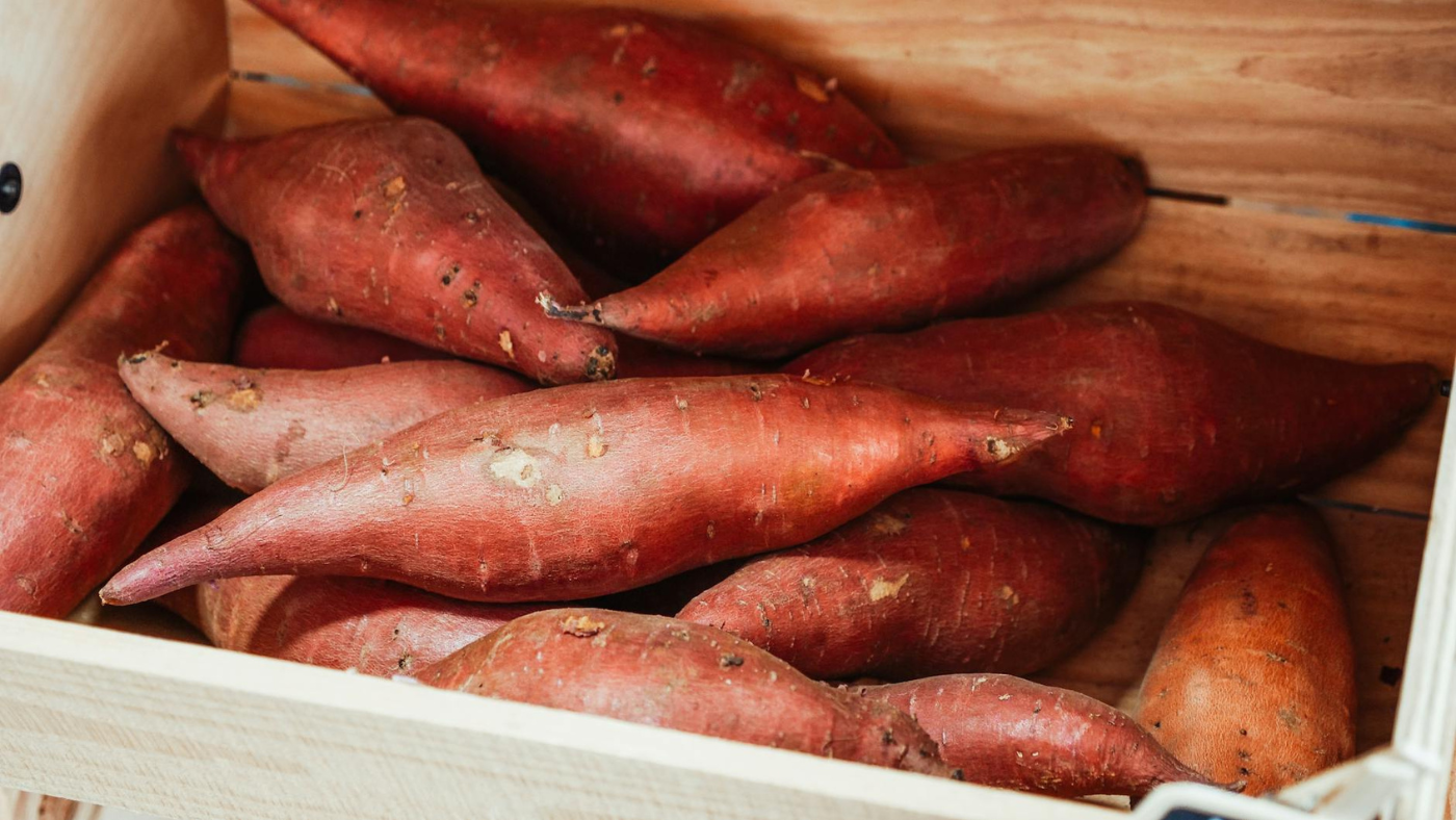 Root Fest at Carrboro Farmers Market