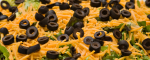 Easy Taco Dip